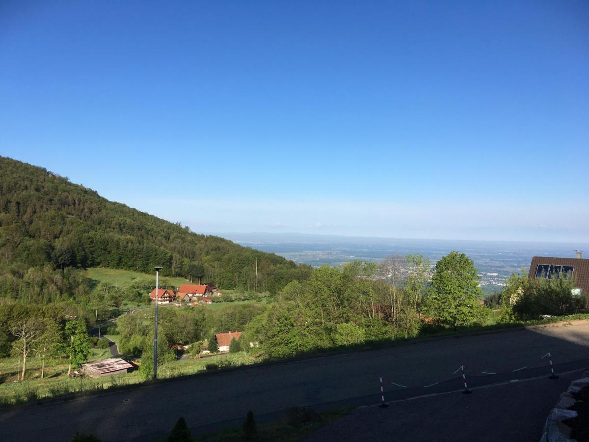 Apartment Ferienwohnung Brandmatt - Weitblick - 54Qm Sasbachwalden Zewnętrze zdjęcie