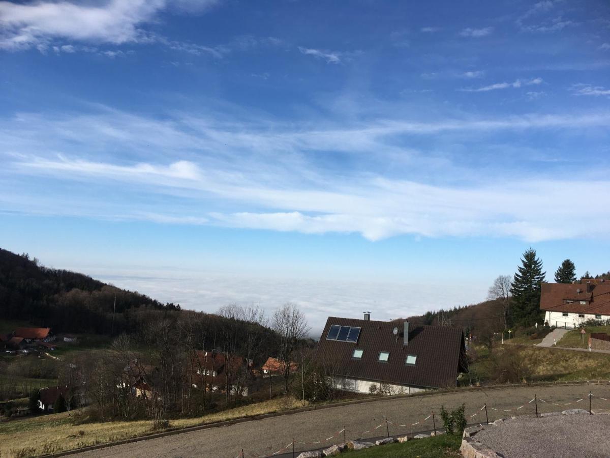 Apartment Ferienwohnung Brandmatt - Weitblick - 54Qm Sasbachwalden Zewnętrze zdjęcie